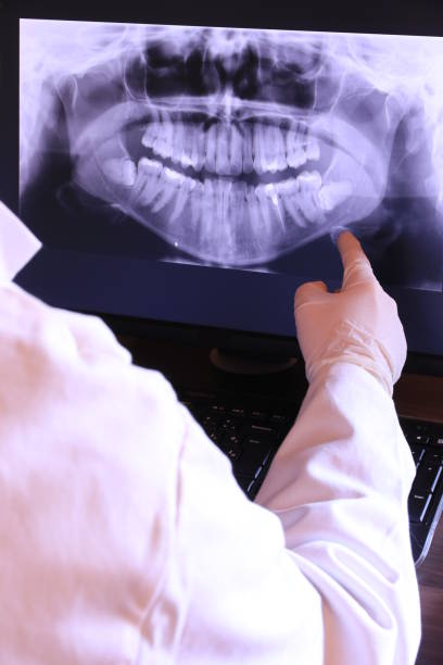 Best Emergency X-Rays and Diagnostics in Gates Mills, OH